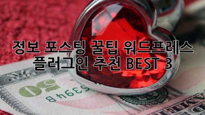 정보 포스팅 꿀팁🍯 워드프레스 플러그인 추천 BEST 3!