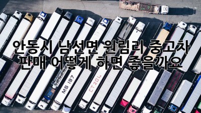 안동시 남선면 원림리 중고차 판매, 어떻게 하면 좋을까요?