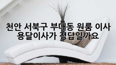 천안 서북구 부대동 원룸 이사, 용달이사가 정답일까요?