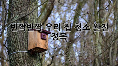 ✨ 반짝반짝 우리 집, 청소 완전 정복! ✨